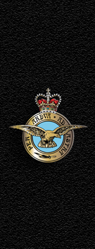 Dayton Royal Airforce Badge PROOF